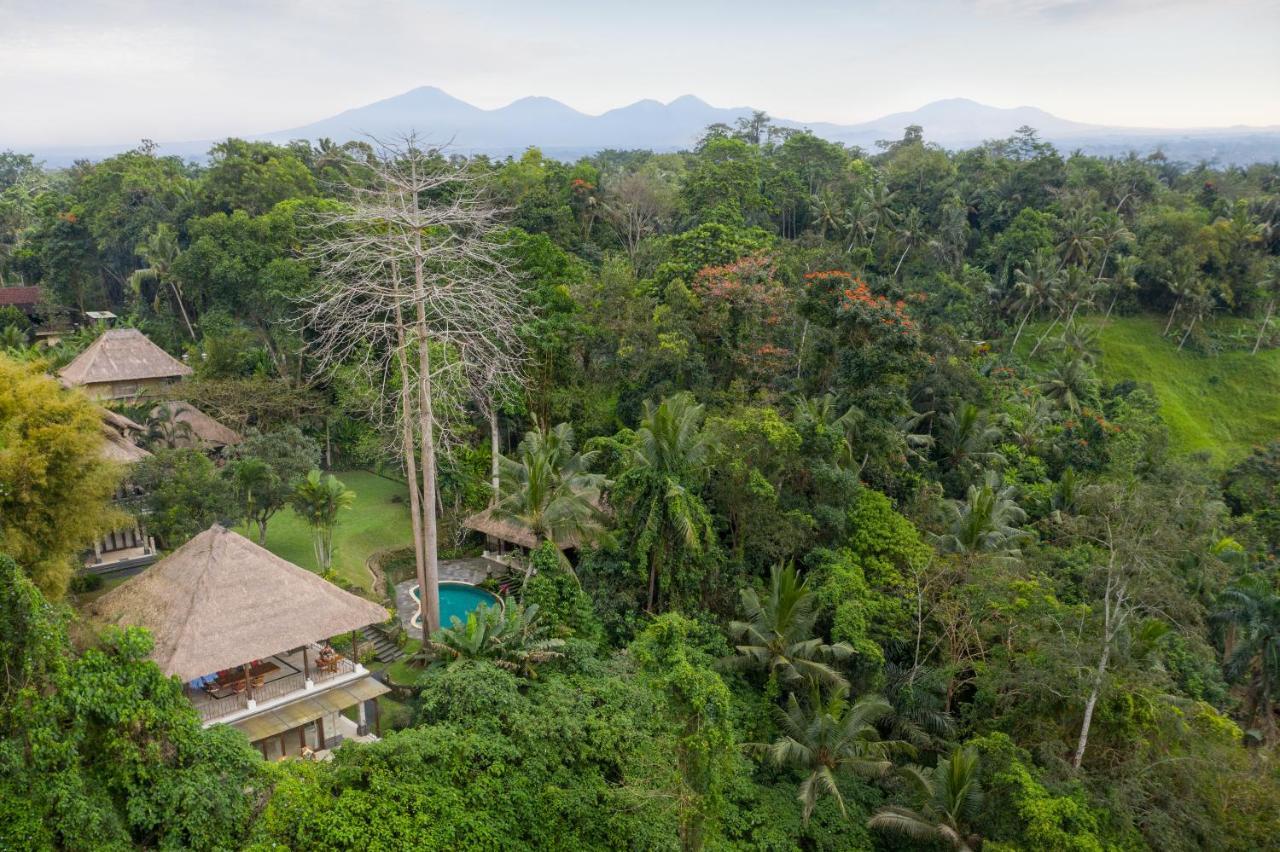 The Allure Ubud Villas المظهر الخارجي الصورة
