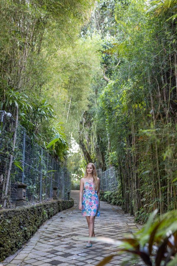 The Allure Ubud Villas المظهر الخارجي الصورة